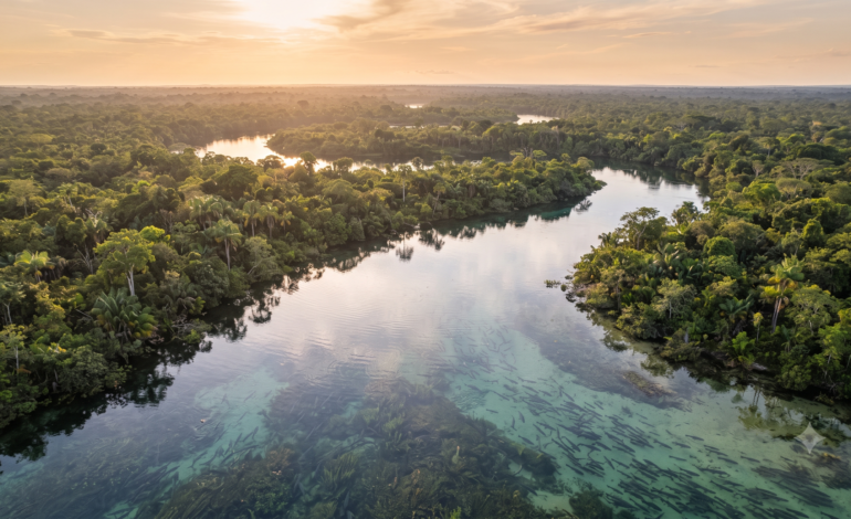STF valida proibição da pesca profissional no Rio Guaporé em Rondônia